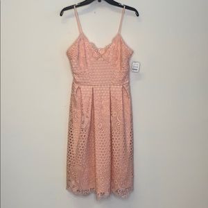 Love...ady Circle Floral Lace Pleat Scallop Skirt